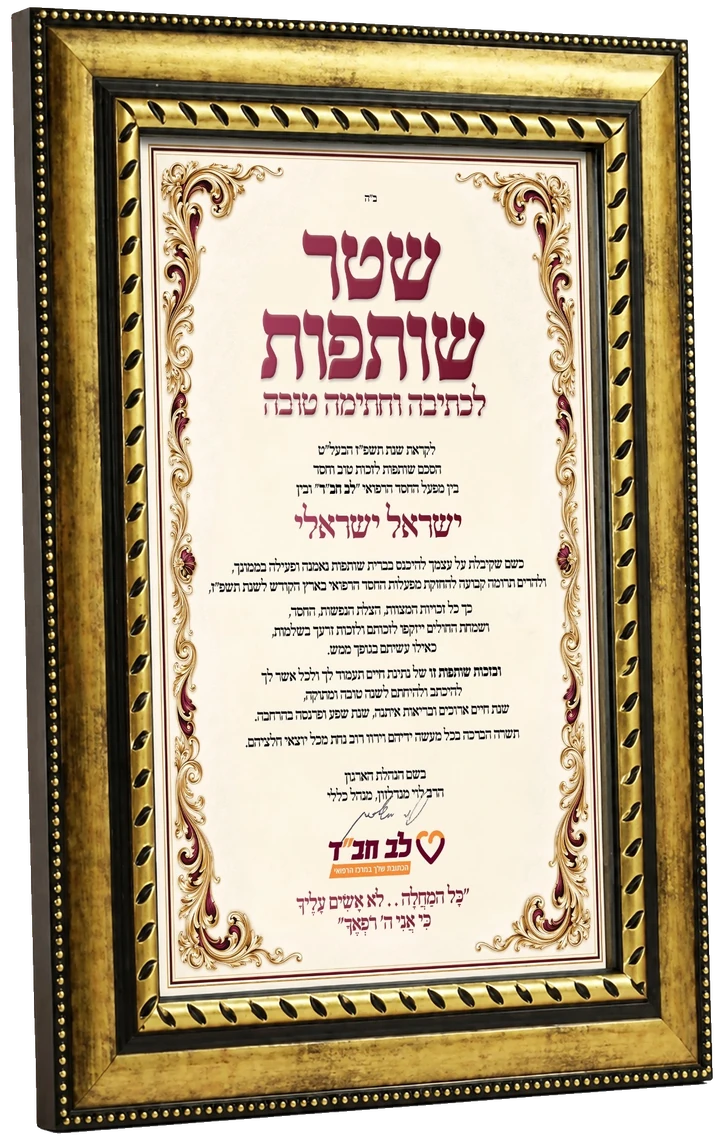 הדמיה של שטר השותפות המהודר